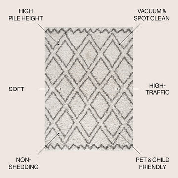 Soller Diamond Trellis Shag Area Rug